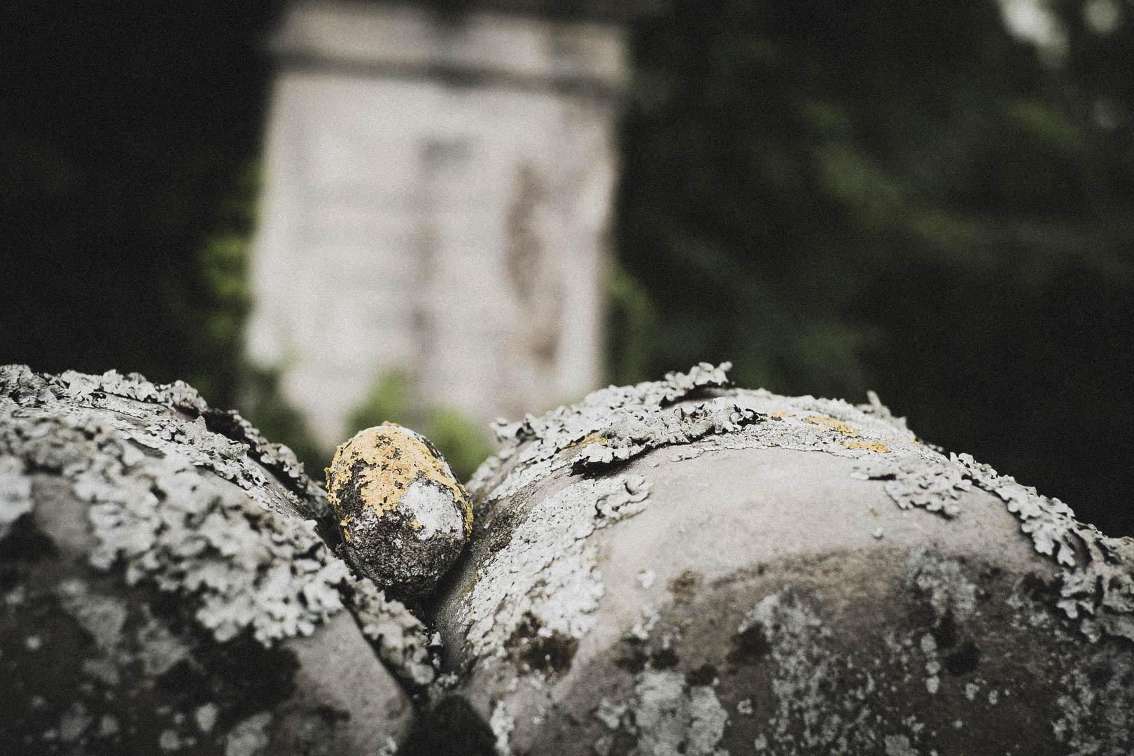 Lügde, Jüdischer Friedhof